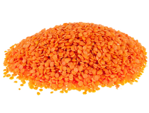 krasnaya-chechevica-alternativa-myasy-v-post