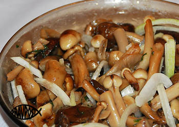 gribnaya-zakuska-pravoslavnyy-post