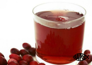 kisel-klyukvennyy-pravoslavnyy-post